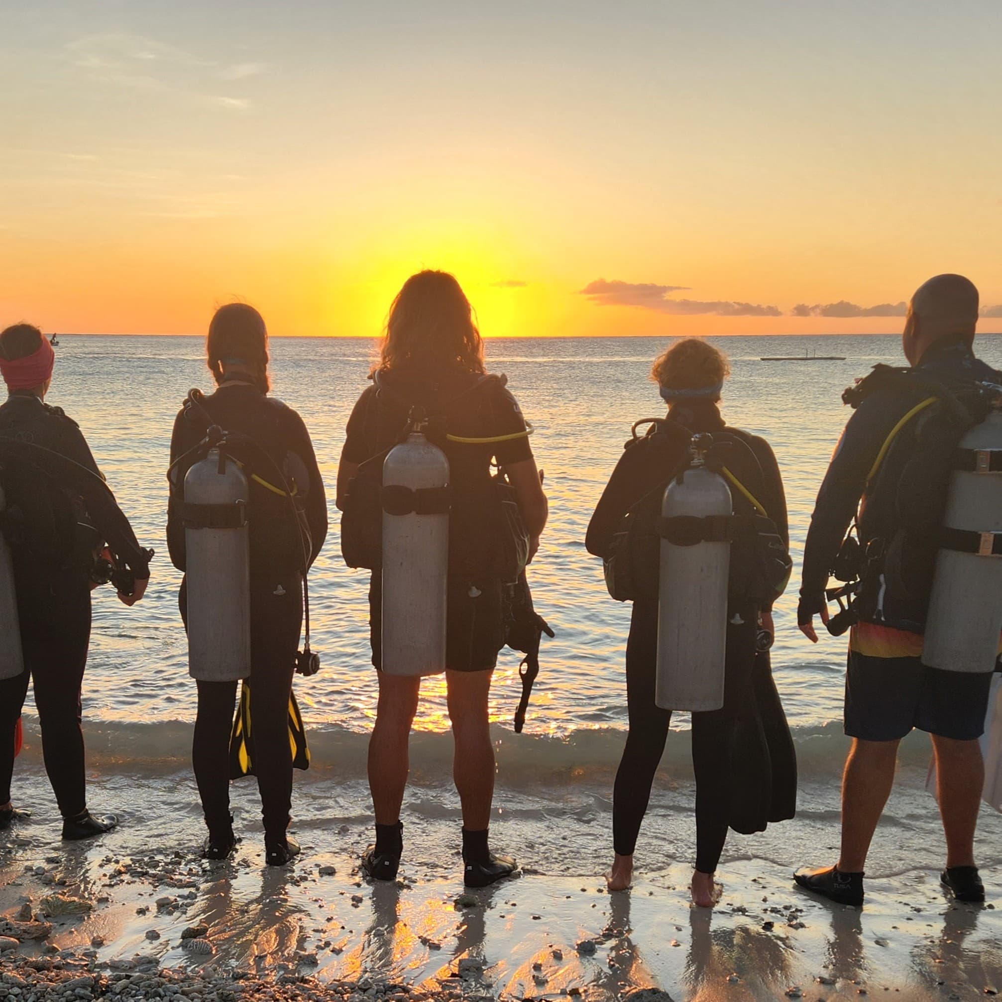 Cinq plongeurs équipés regardent le coucher du soleil avant une plongée du rivage